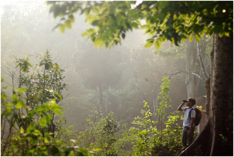 A Complete Guide to Bird Watching In Bandipur and Mudumalai 