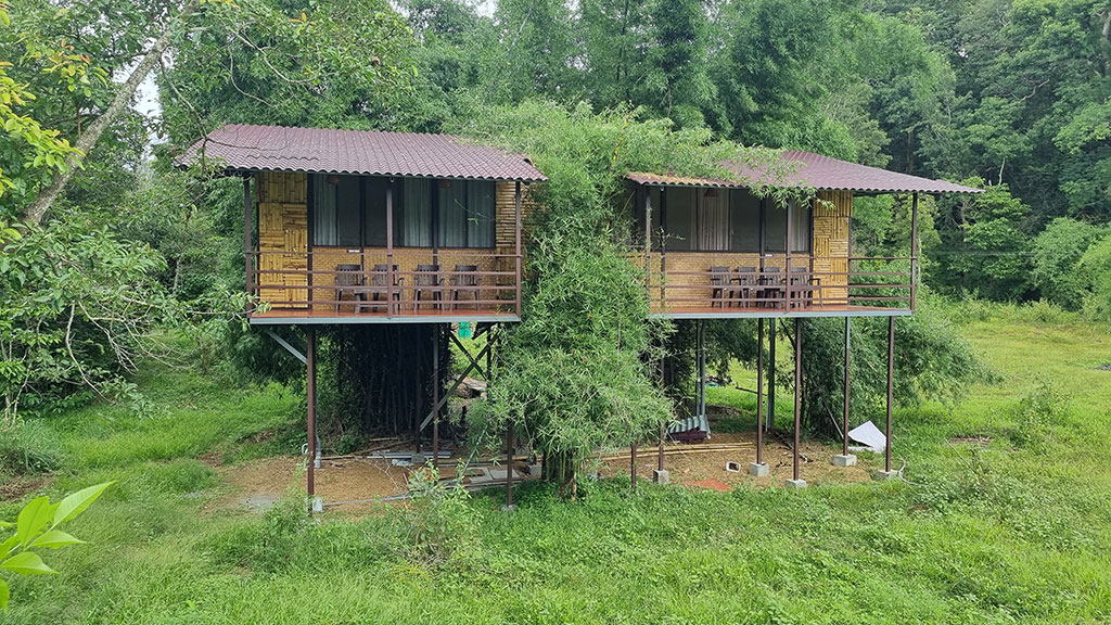 Experience Staying in a Tree House at Bandipur Mudumalai
