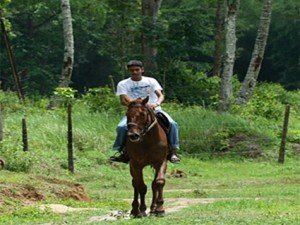 Horse riding safety Guidelines