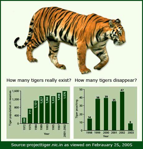 The Great Tiger Census Begins at Mudumalai and Bandipur