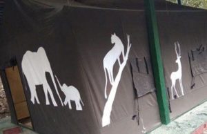 CAMPING TENTS bandipur