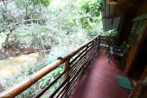 View from Masinagudi Tree House