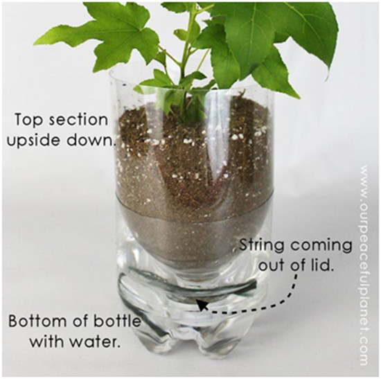 Self-watering planters