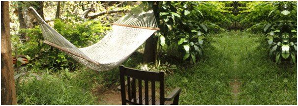 Happy Holidaying at Eco friendly holiday resorts in Bandipur