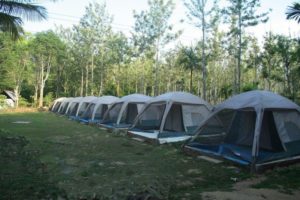 Deep Jungle Home Camping Tents