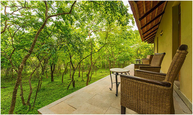 Top 15 Jungle Resorts In Bandipur