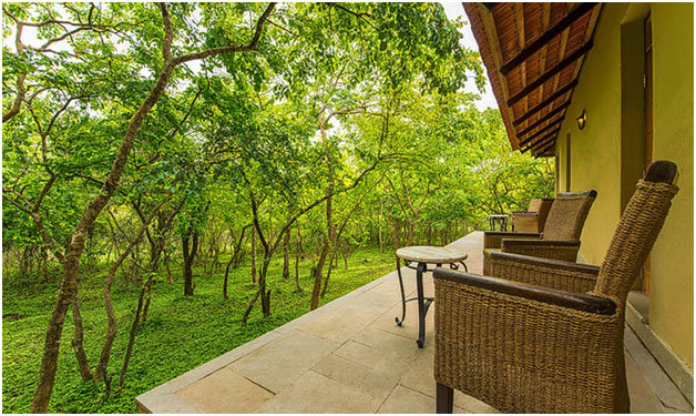 safari land villa resort bandipur