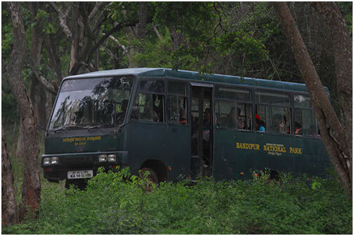 camper safari bandipur