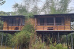 bamboo machan (tree house)