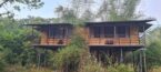 Bamboo Machan – Tree House eterior