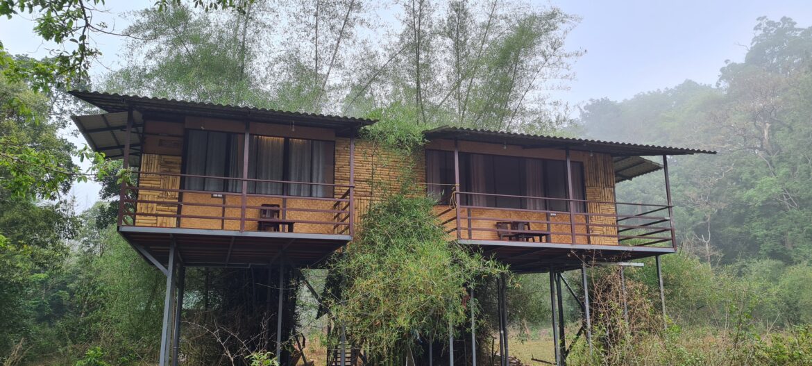 Bamboo Machan – Tree House exterior