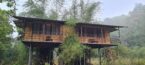 Bamboo Machan – Tree House exterior