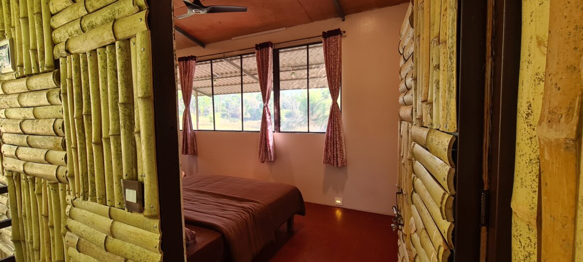 Bamboo Machan – Tree House rom view