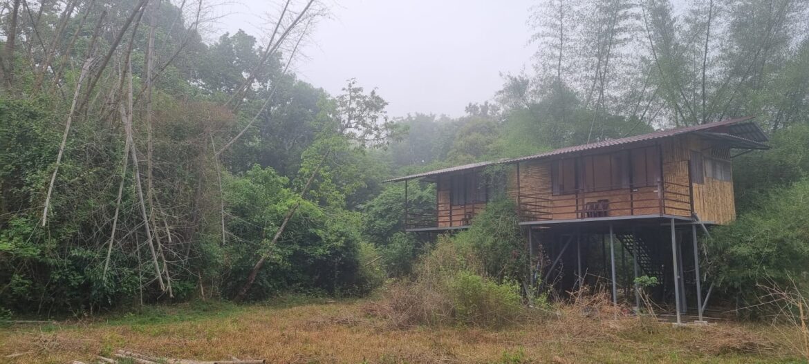 Bamboo Machan – Tree House exterior