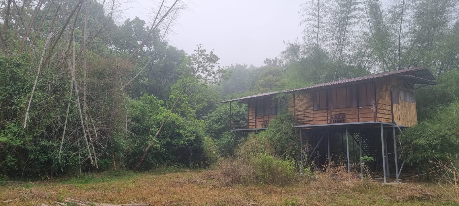 Machan Bamboo Machan Tree House Bandipur Masinagudi