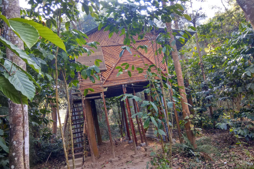 BAMB00 TREE HOUSE