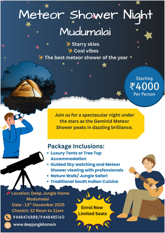 Meteor Shower Night Mudumalai