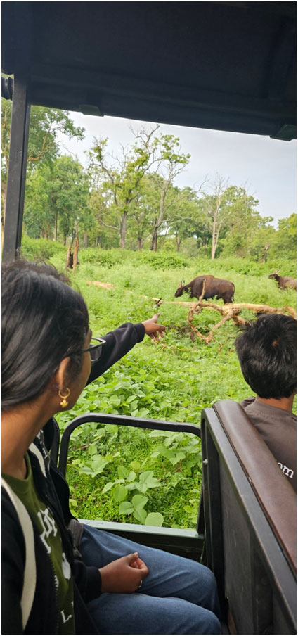 Why You’ll Love This Experience